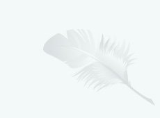 feather2.jpg